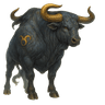 Býk